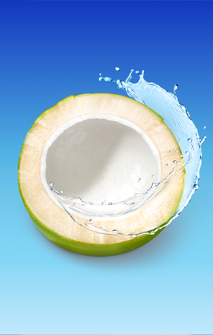 coconut_icon2